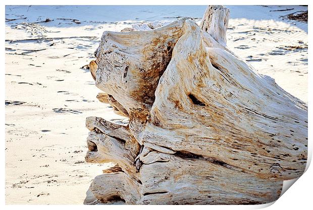 Driftwood Print by Nicole Rodriguez