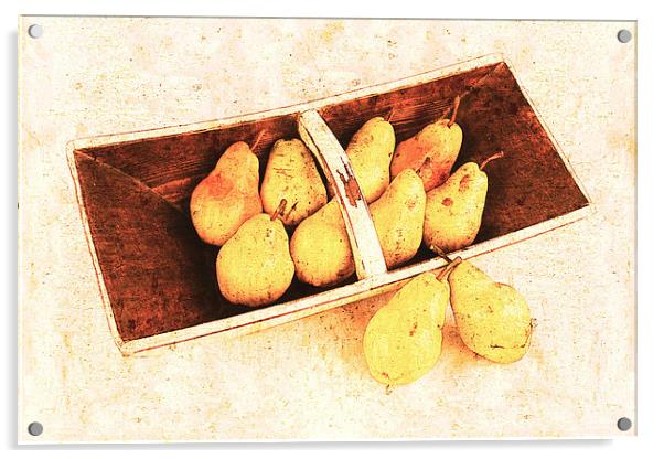 still life with yellow pears Acrylic by olga hutsul