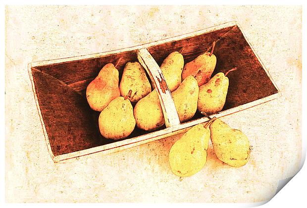 still life with yellow pears Print by olga hutsul