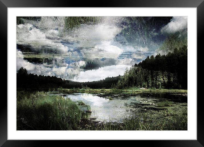 lake in the forest Framed Mounted Print by olga hutsul