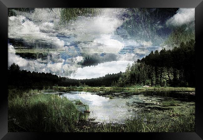 lake in the forest Framed Print by olga hutsul