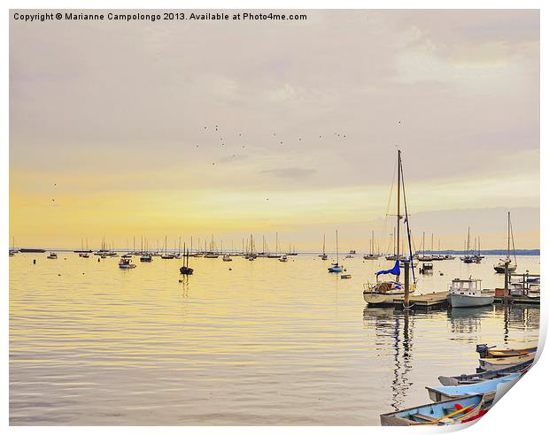 Early morning on the sea Rockland Maine Print by Marianne Campolongo