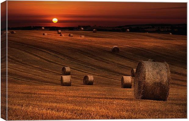 Harvest sunset Canvas Print by Robert Fielding