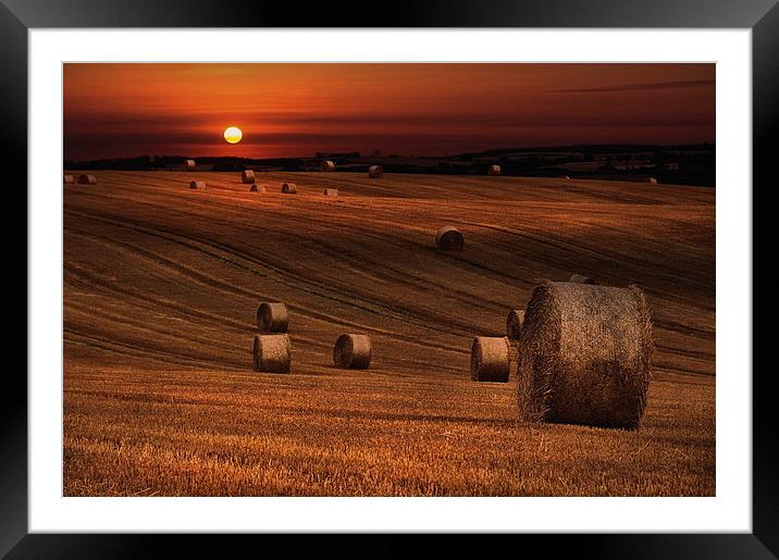 Harvest sunset Framed Mounted Print by Robert Fielding