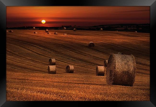 Harvest sunset Framed Print by Robert Fielding