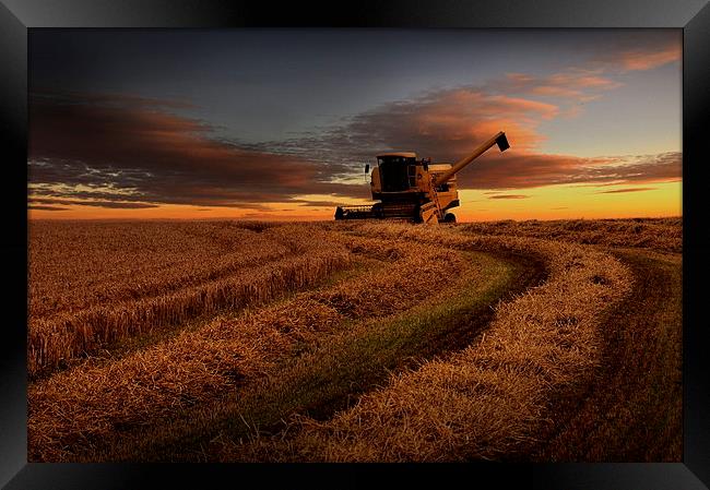 Harvester sunset Framed Print by Robert Fielding