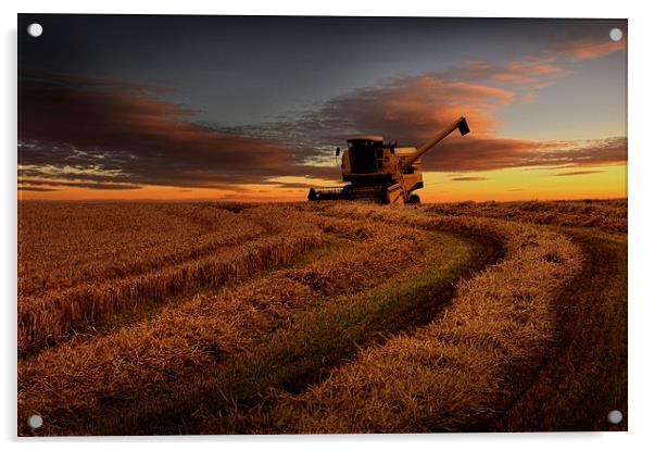 Harvester sunset Acrylic by Robert Fielding