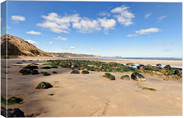 Cayton Bay Canvas Print by John Hare