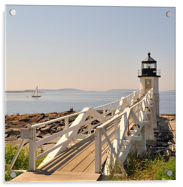 Marshall Point Lighthouse Port Clyde Maine Acrylic by Marianne Campolongo