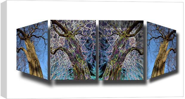 VARIATIONS OF VISION Canvas Print by Mal Taylor Photography
