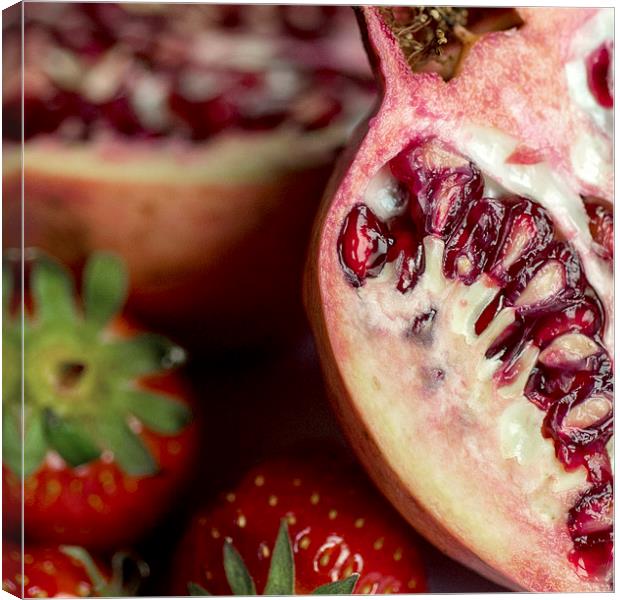 Pomegranate Canvas Print by Anne Whiteside