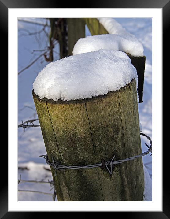 SOFT AND SHARP Framed Mounted Print by Mal Taylor Photography