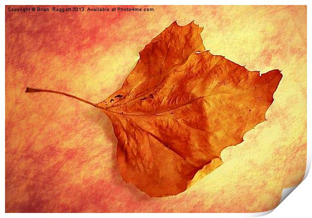 Autumn Cometh Print by Brian  Raggatt