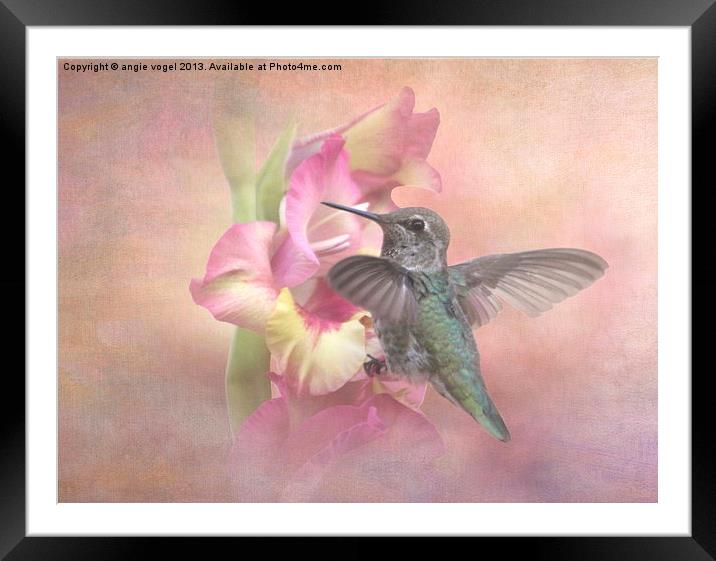 Hummingbirds Gladiola Framed Mounted Print by angie vogel