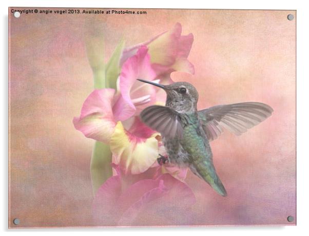 Hummingbirds Gladiola Acrylic by angie vogel