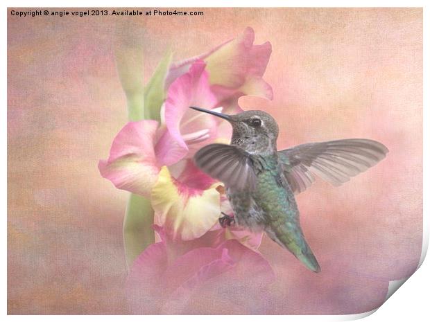 Hummingbirds Gladiola Print by angie vogel