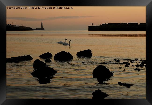 Sunderland Pier River Wear Swans Framed Print by Glenn Potts