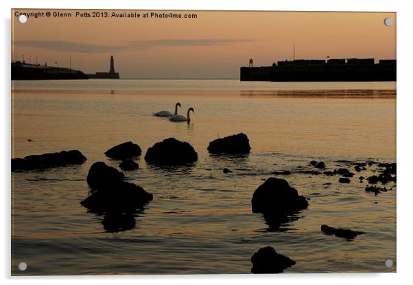 Sunderland Pier River Wear Swans Acrylic by Glenn Potts