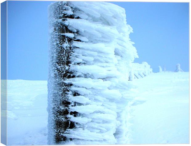 Ice Cold in Glen Shee Canvas Print by David Steven
