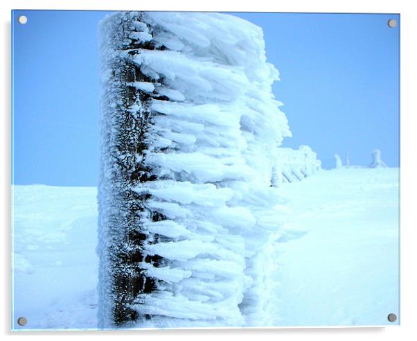 Ice Cold in Glen Shee Acrylic by David Steven