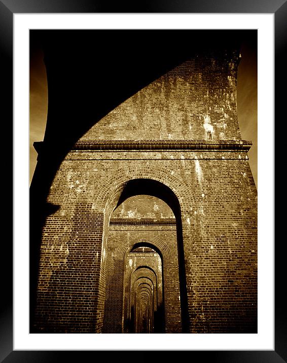 Viaduct Framed Mounted Print by Thomas Seear