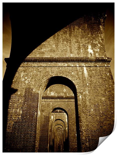 Viaduct Print by Thomas Seear