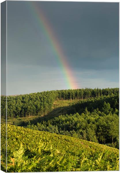 Colour on Cockshaw Hill Canvas Print by Gail Sparks