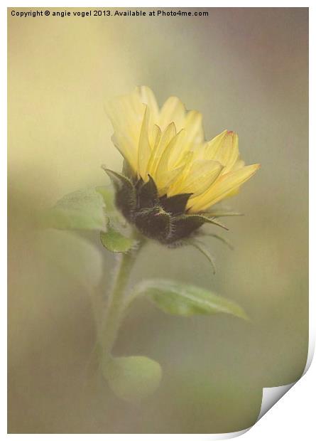 Whisper of a Sunflower Print by angie vogel