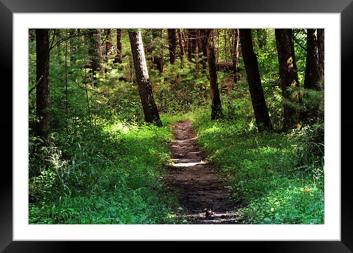 I Choose This Path Framed Mounted Print by Nicole Rodriguez