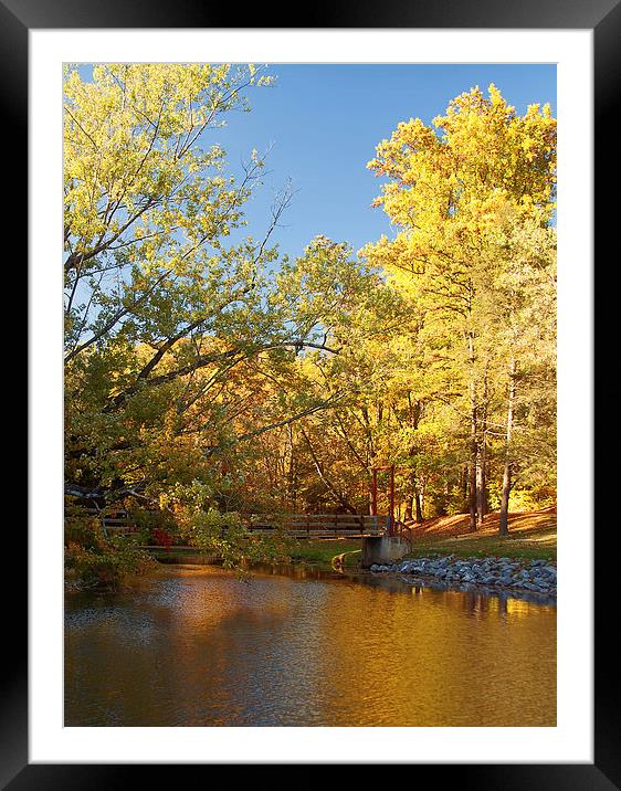 Autumns Golden Pond Framed Mounted Print by Kim Hojnacki