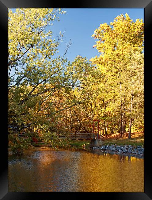 Autumns Golden Pond Framed Print by Kim Hojnacki