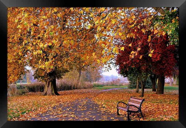 Fallen leaves Framed Print by leonard alexander