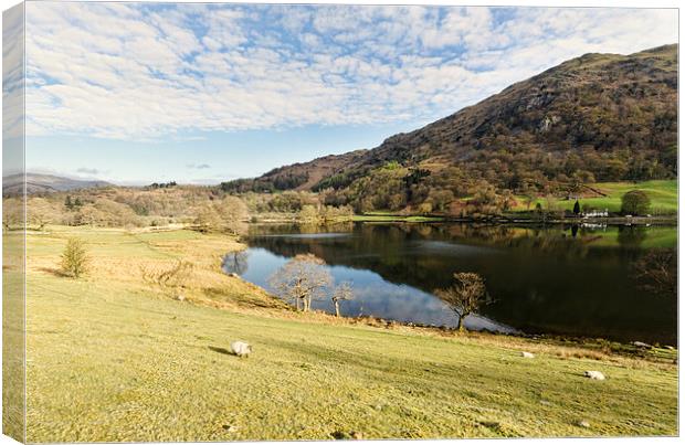 Down To Rydal Water Canvas Print by John Hare