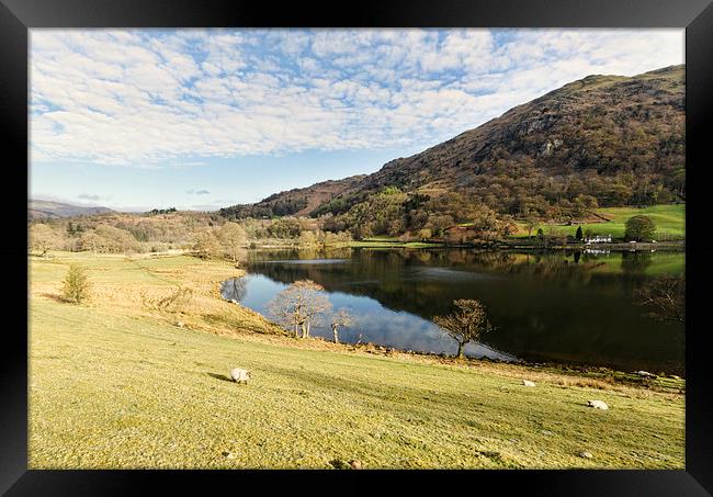Down To Rydal Water Framed Print by John Hare