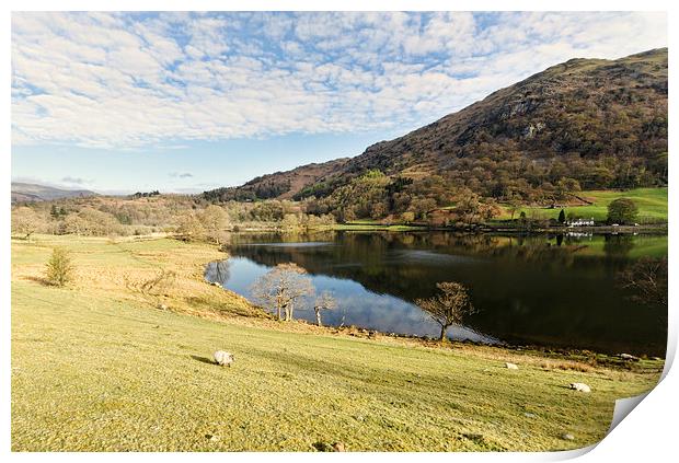 Down To Rydal Water Print by John Hare