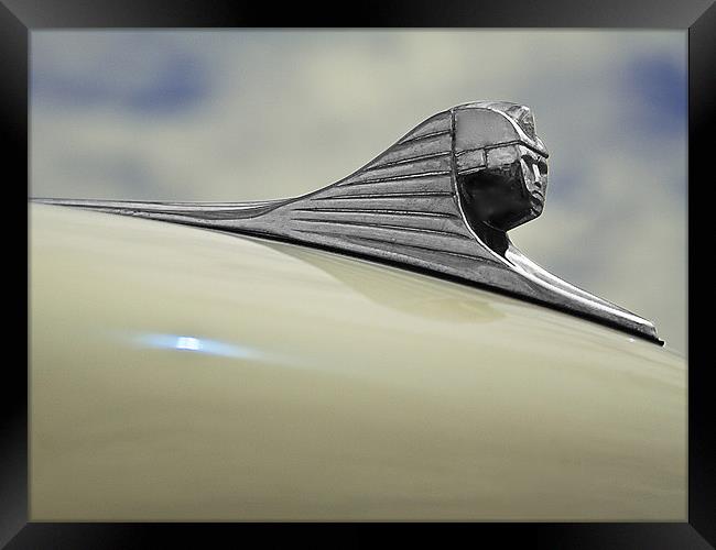 The Automotive Sphynx Framed Print by Jim Filmer