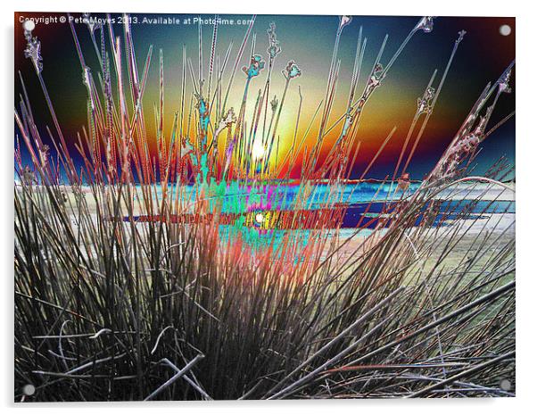 Sunburst Through the Reeds Acrylic by Pete Moyes