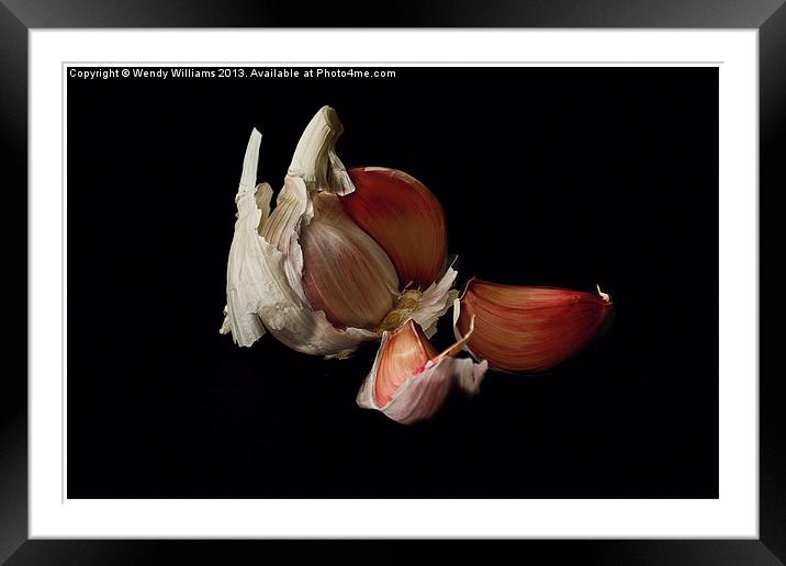 Red Garlic bulb and cloves Framed Mounted Print by Wendy Williams CPAGB