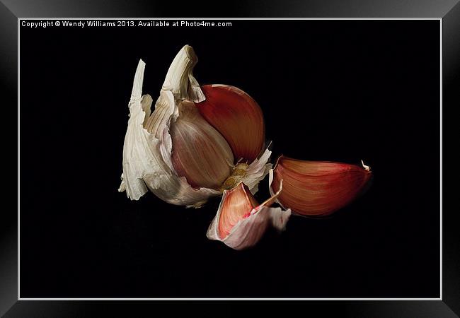 Red Garlic bulb and cloves Framed Print by Wendy Williams CPAGB