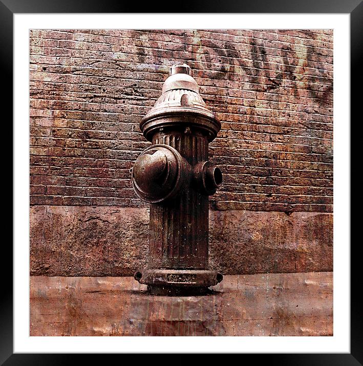 Fire hydrant, NYC Framed Mounted Print by olga hutsul