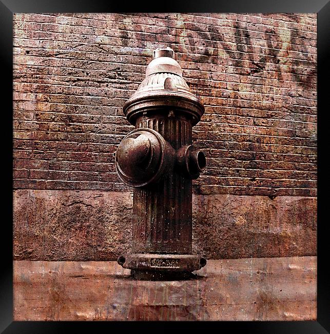 Fire hydrant, NYC Framed Print by olga hutsul