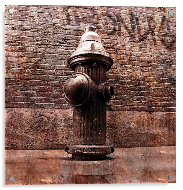 Fire hydrant, NYC Acrylic by olga hutsul