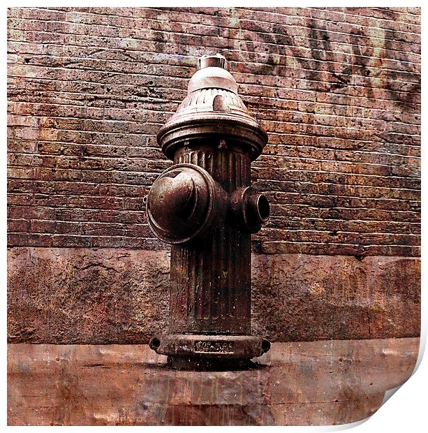 Fire hydrant, NYC Print by olga hutsul
