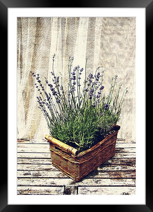 basket with lavender Framed Mounted Print by olga hutsul