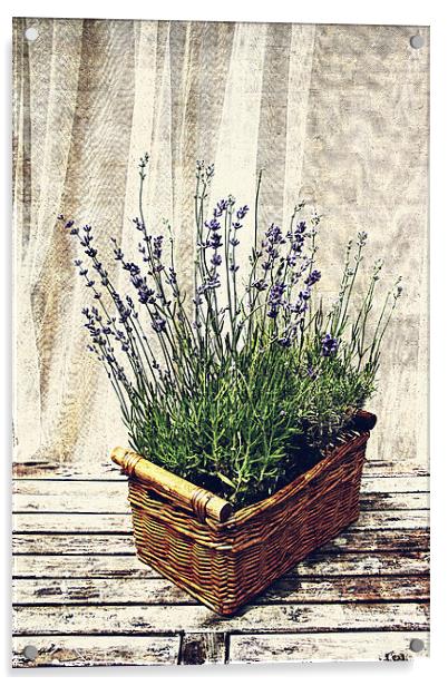 basket with lavender Acrylic by olga hutsul