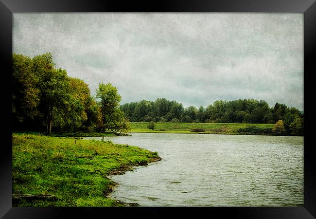 Sauvie Island Framed Print by Belinda Greb