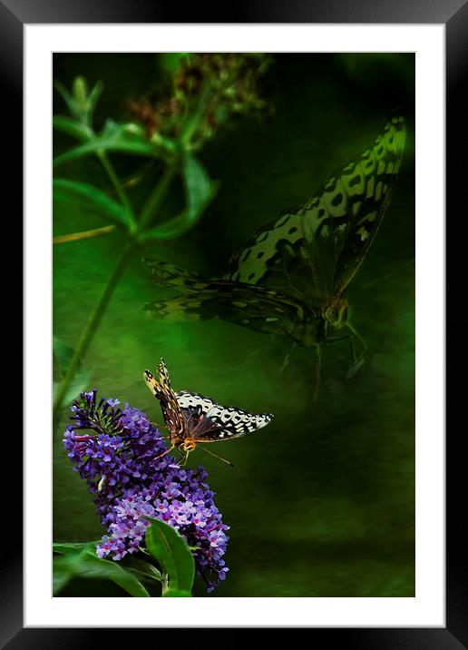 The Psyche Framed Mounted Print by Belinda Greb