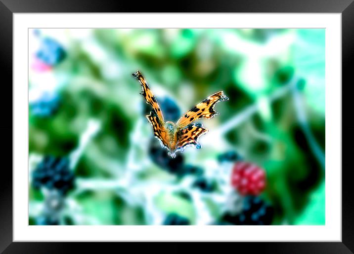 Coming into Land Framed Mounted Print by Tony Fishpool