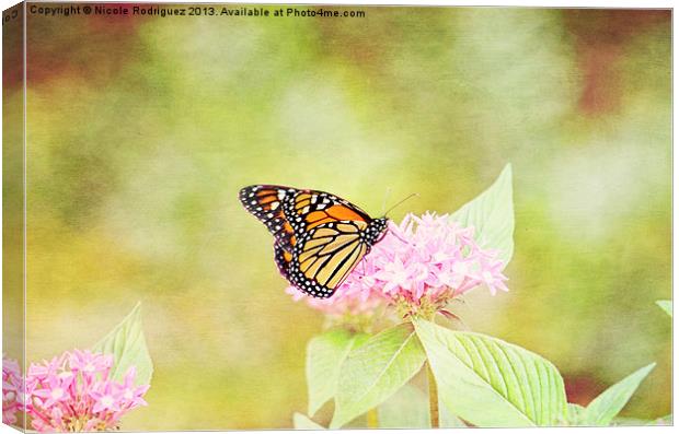 Dazzling Monarch Canvas Print by Nicole Rodriguez