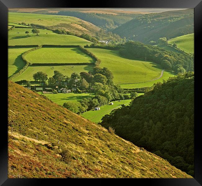 Exmoor Framed Print by graham young